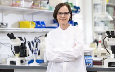 Argelia, donde las mujeres lideran la ciencia en el mundo árabe
